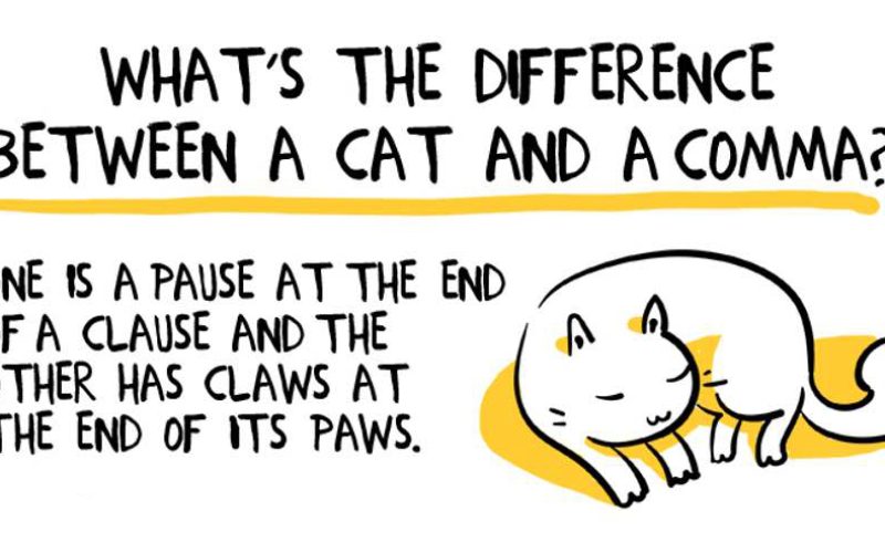 How lovely is this? 😻