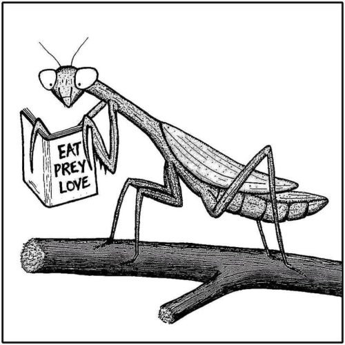 One book, yet so many different interpretations! 🤣