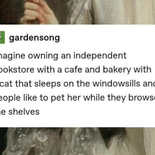 True Booklover goals! Don’t you think? 😻