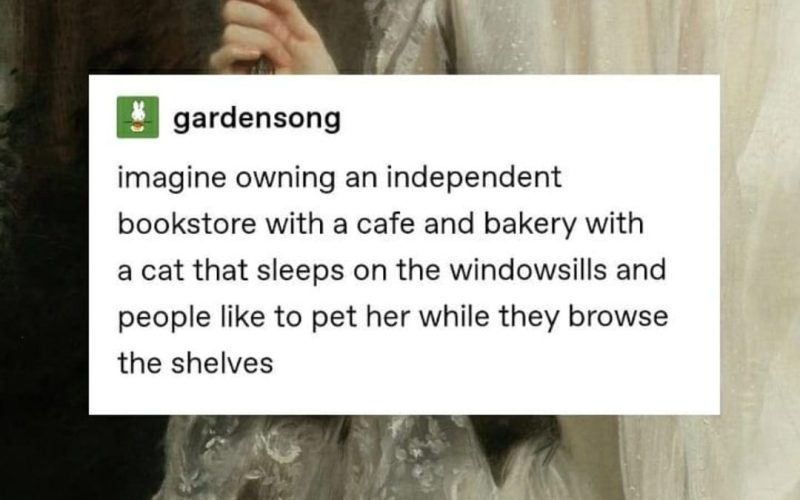 True Booklover goals! Don’t you think? 😻