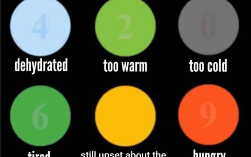 Still can’t get over it.😞