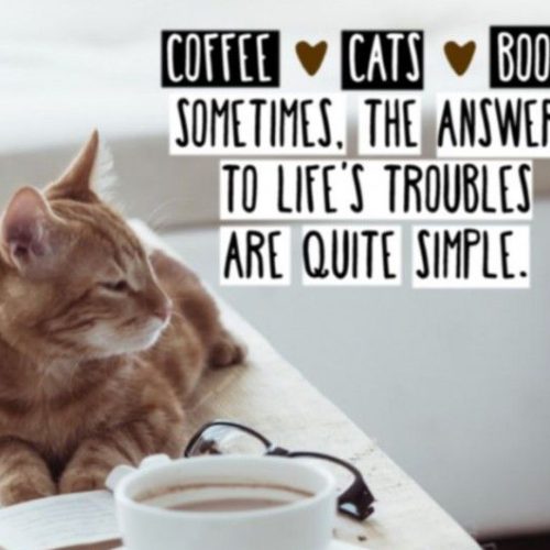 Happiness is appreciating the simple things in life! ❤