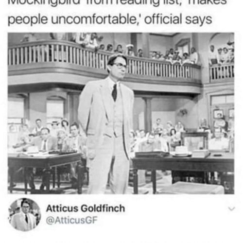 What do you think? 🤔