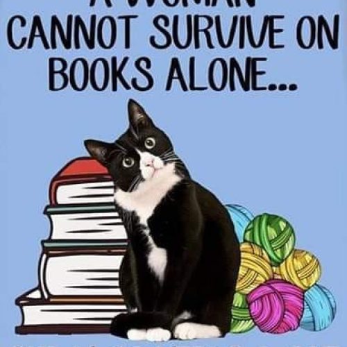 I couldn’t agree more! 😻
