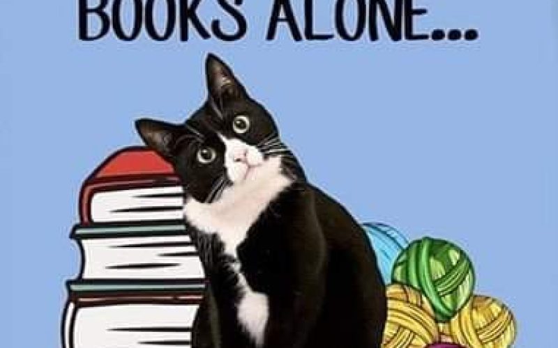 I couldn’t agree more! 😻