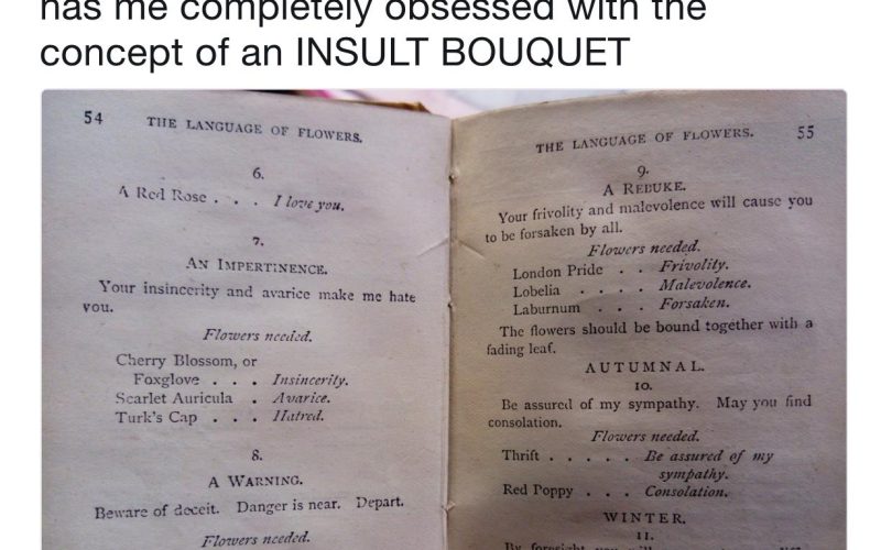 Passive-aggressive gift at its highest level! 😂