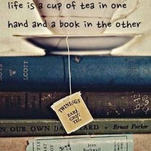 The secret to a well balanced life… 👀