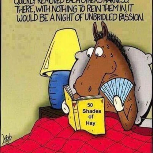 A little humor to start the day off right! 🤭