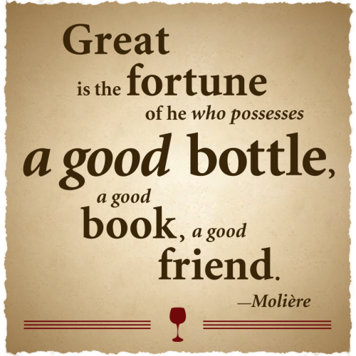 Because wine is just juice with more life experience… cheers to National Drink Wine Day! 🍷