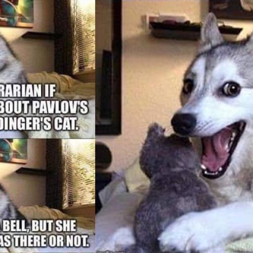 Just a bit of librarian humor to brighten your day…. 🤣
