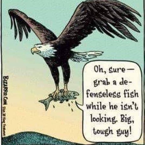 🤣🤣🤣🤣