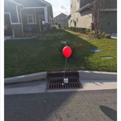 These crazy days! 🤣