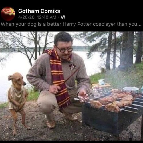 I almost spit my coffee out on my screen laughing at this one‼🤣