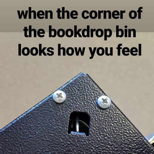 Guaranteed mood booster! 🤣