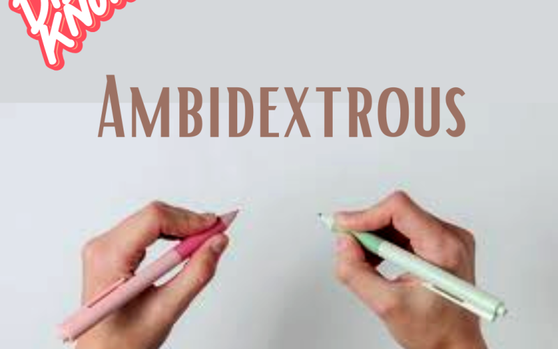 Ambidextrous