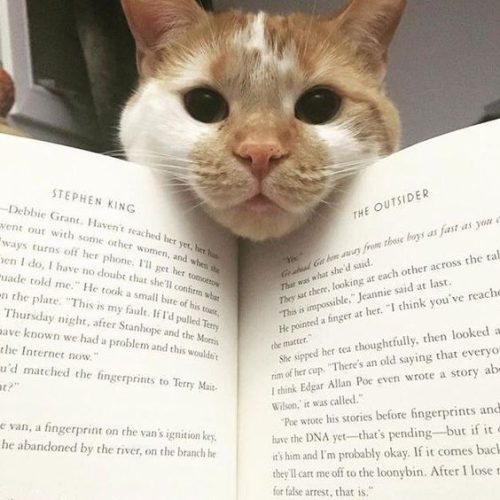 Cutest distraction ever… ❤