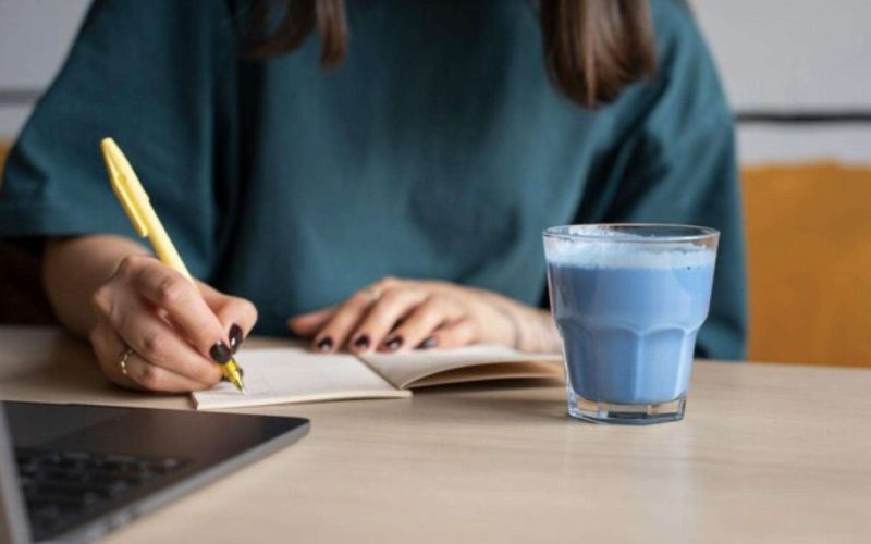 Top 5 Strategies to Write as a Professional and Succeed in Your Academic and Professional Life