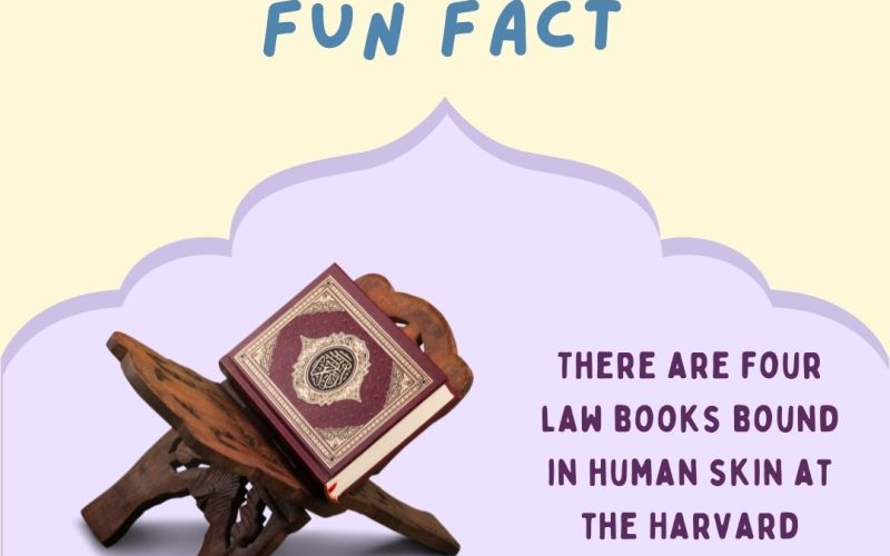 Book Fact You Probably Didn’t Know Yet