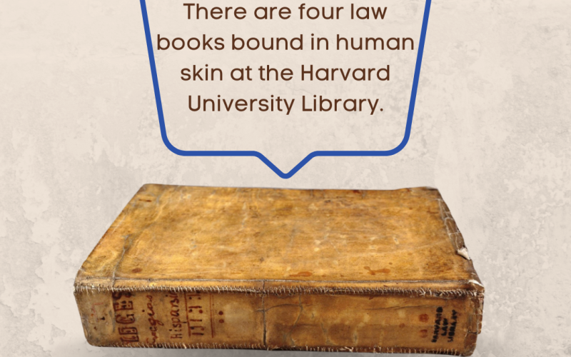 This is a very interesting fact!