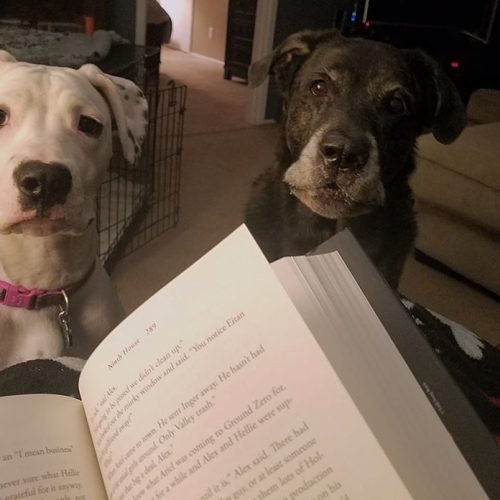 It’s very hard to read while you are being watched 😆