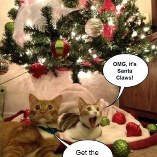 Happy Holidays from your friends at Free-eBooks.net