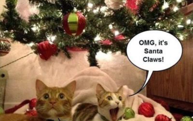 Happy Holidays from your friends at Free-eBooks.net