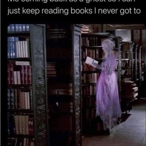 Bookish afterlife!😁