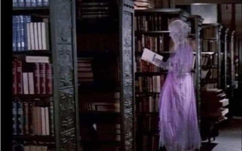 Bookish afterlife!😁