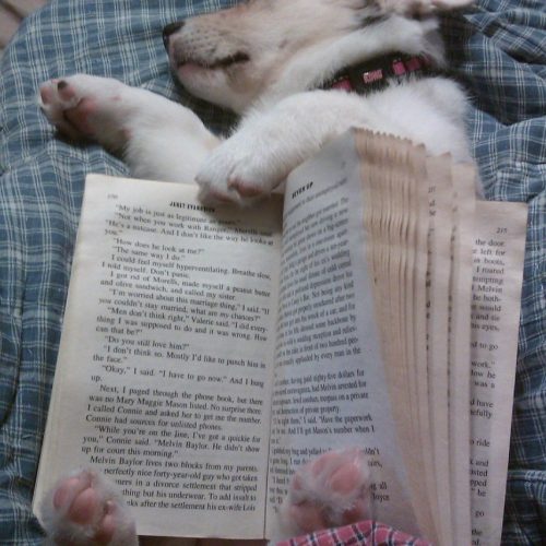This is the loveliest bookmark ever…