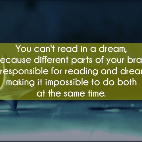 Did you know…?