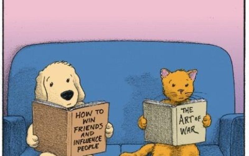 This explains a lot… I’m more of a cat person! 😹