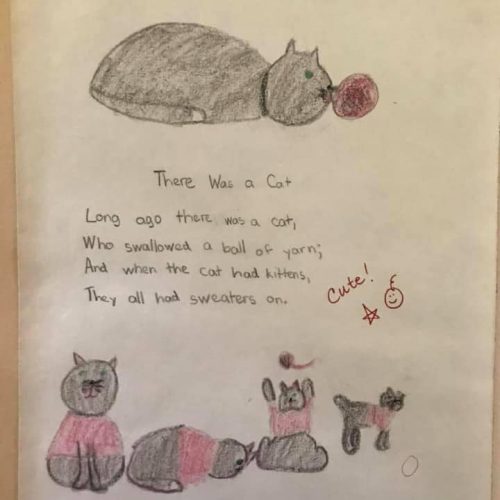 So cute and clever! 📚✍️😻