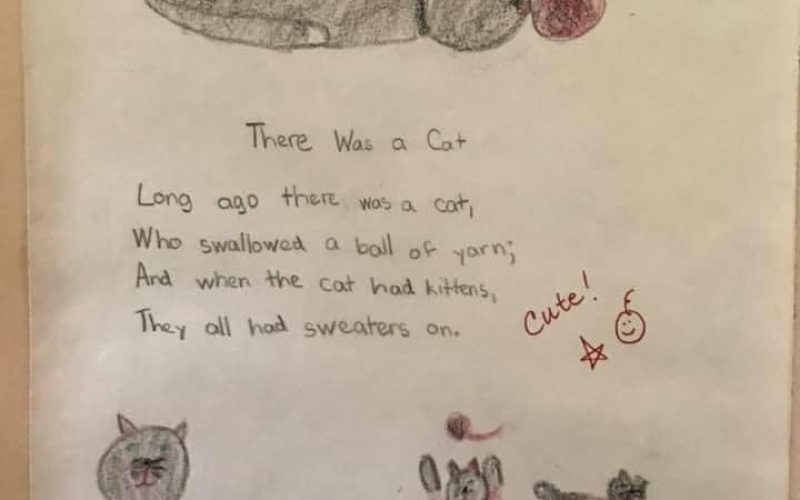 So cute and clever! 📚✍️😻