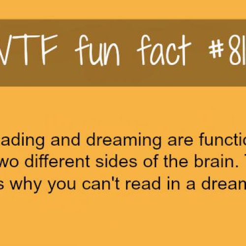 Did you know…?