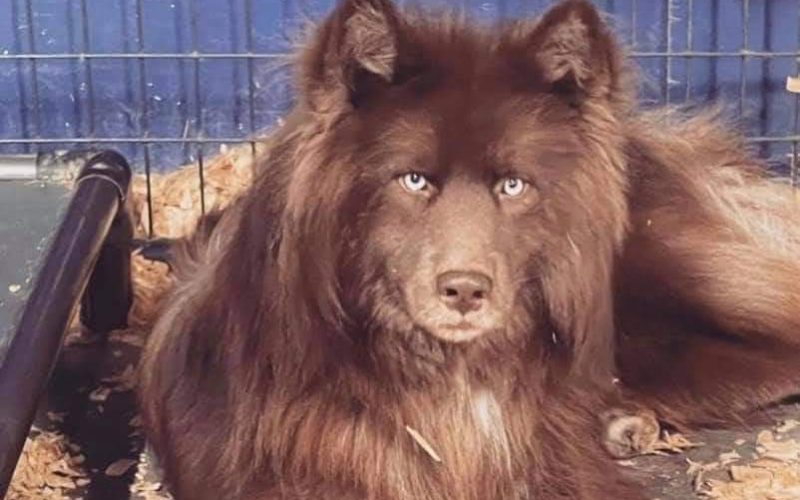 Fabio, is that you? 🤣