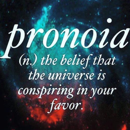 The word of the day is… 😃