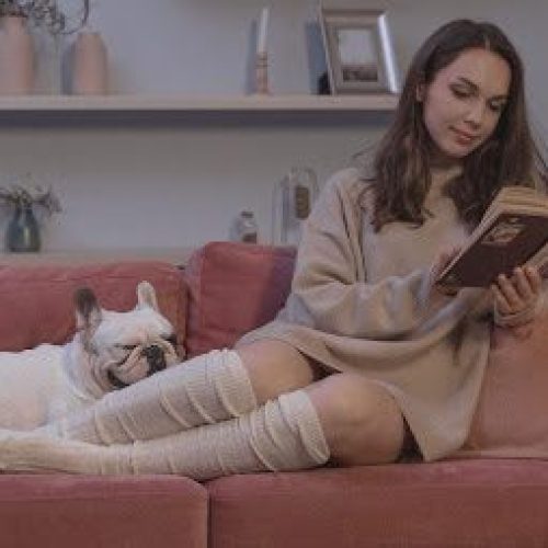 Best Books to Read to Learn French