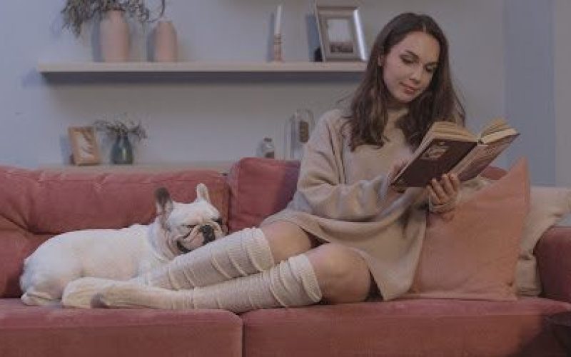 Best Books to Read to Learn French