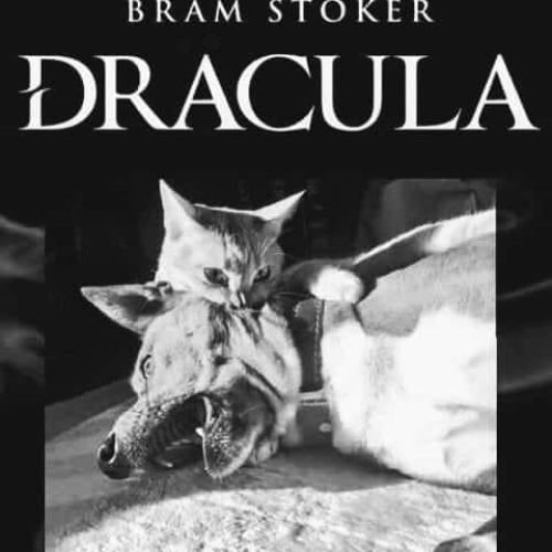 A Classic to read this #Halloween! 🦇😂