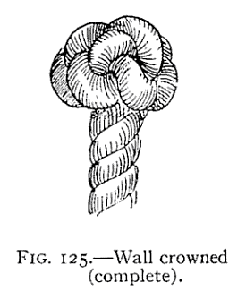 img124.png