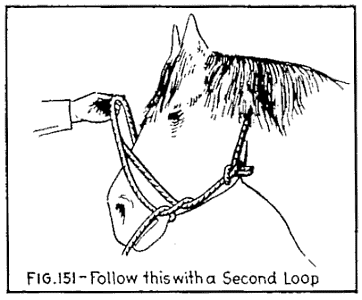 img145.png