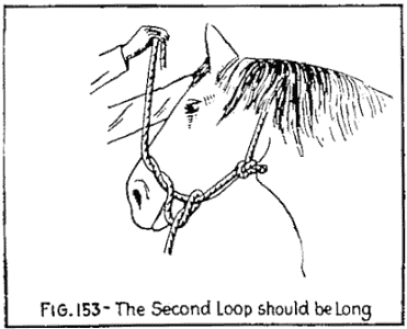 img147.png