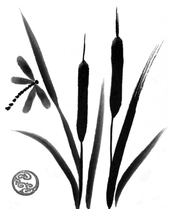 img16.png