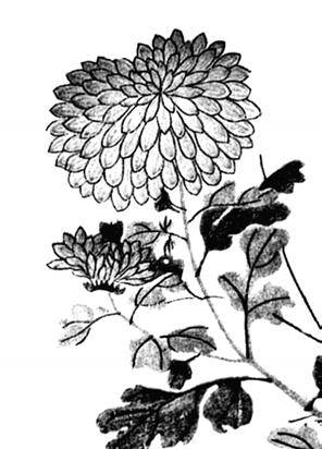 img19.png
