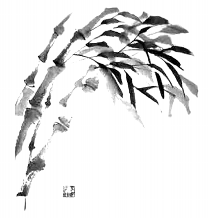 img20.png