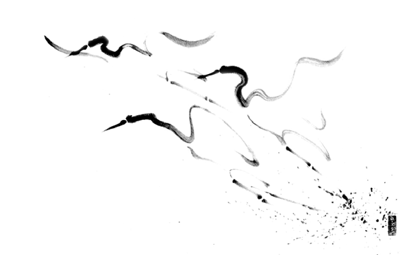 img25.png