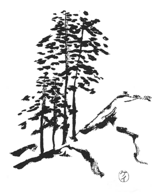 img27.png