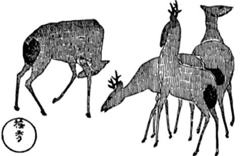 img31.png