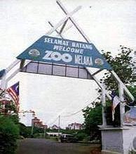 00044.jpg