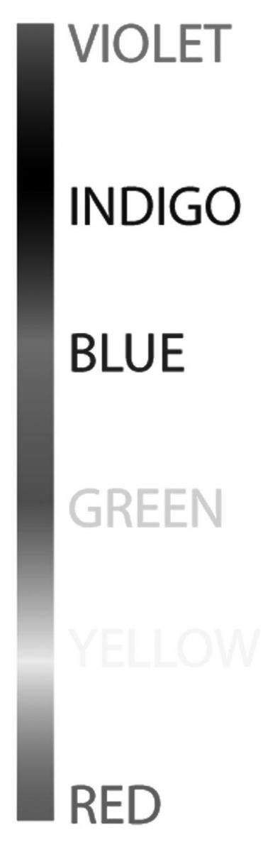 00006.jpg